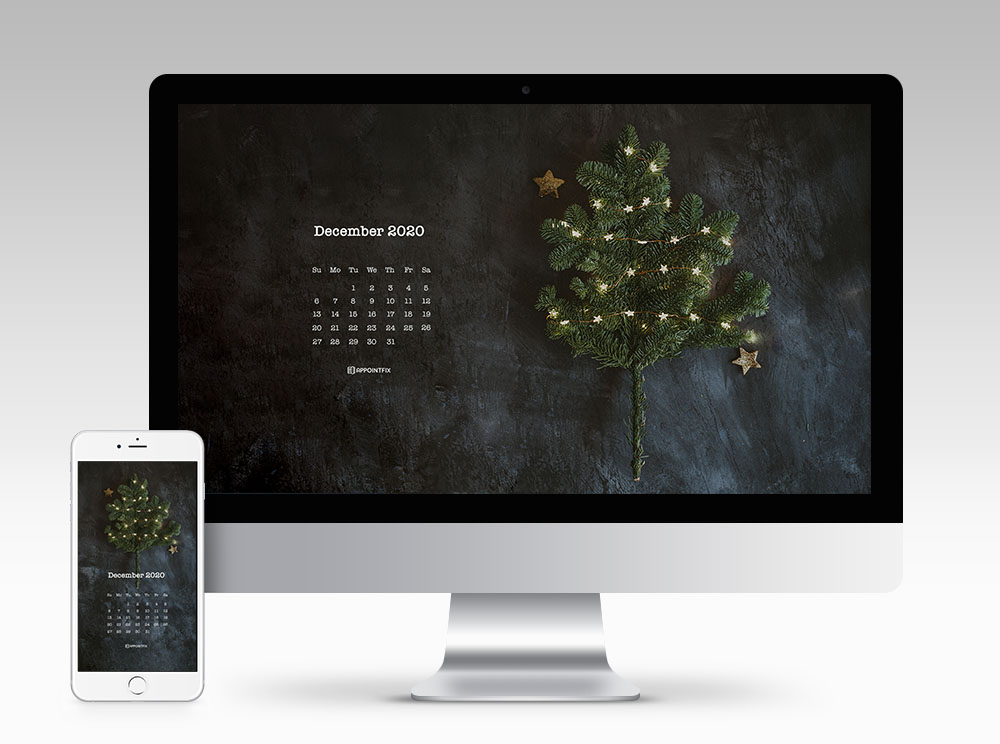December 2020 Calendar Wallpaper - Christmas Ornament