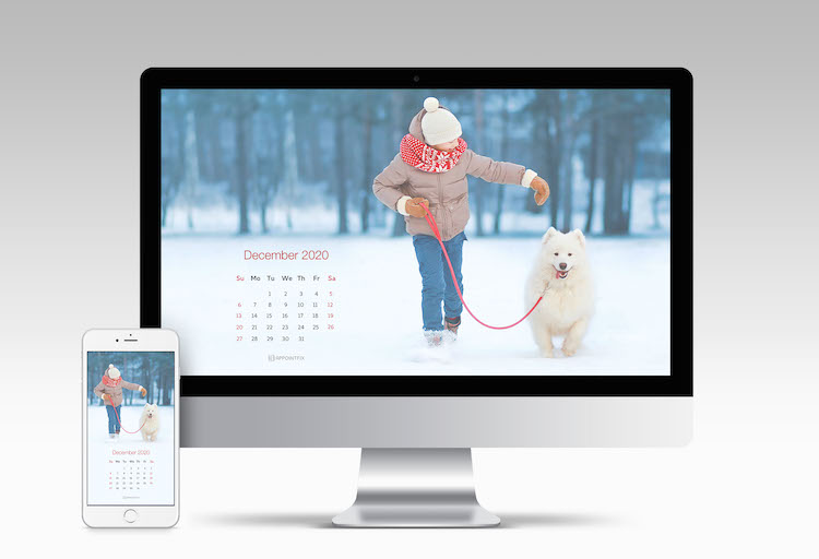 december-2020-calendar-wallpaper-desktop-mobile-boy-dog