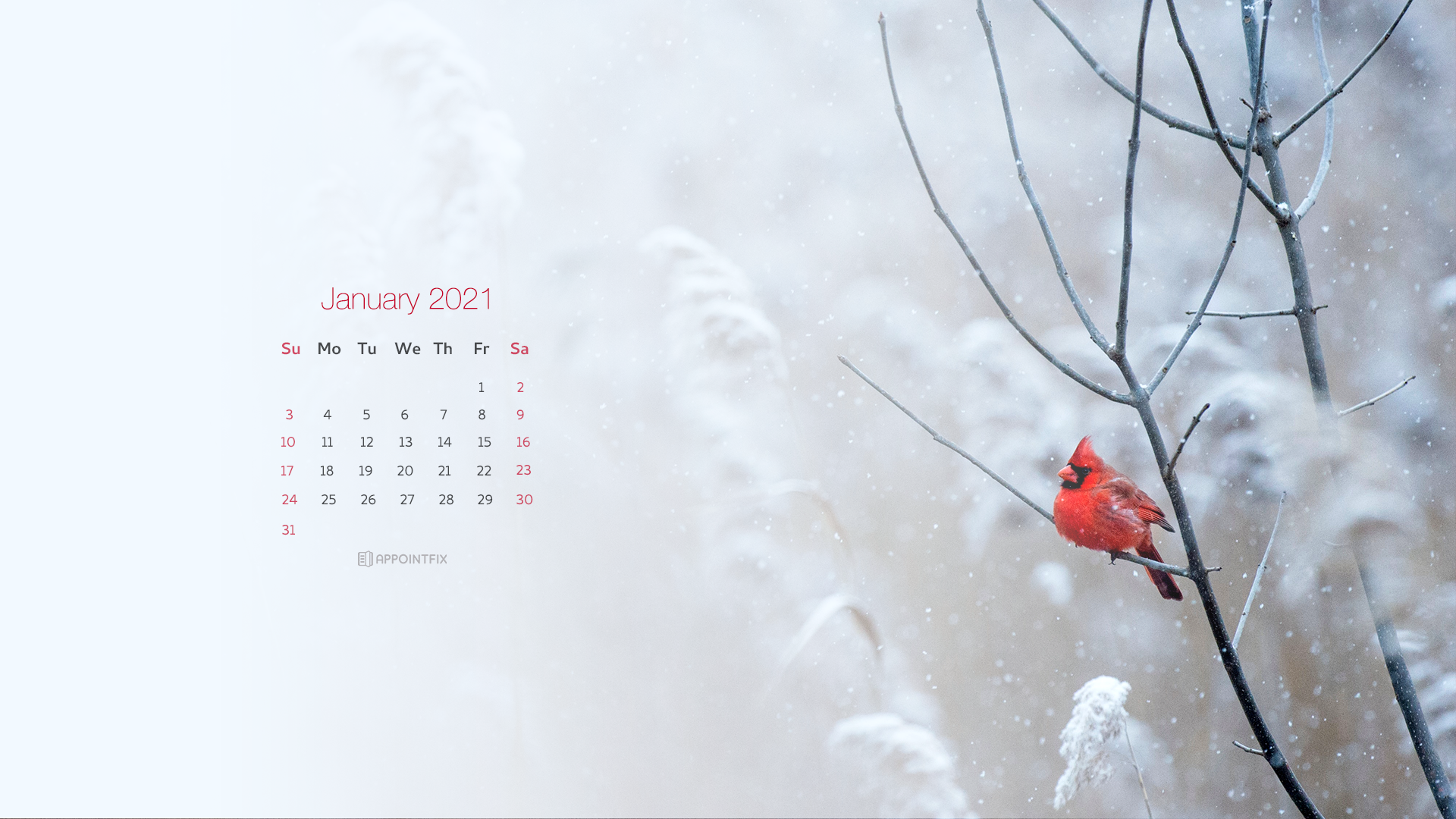 Featured image of post January 2021 Calendar Wallpaper