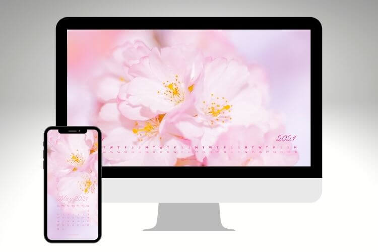cherry blossom calendar wallpaper