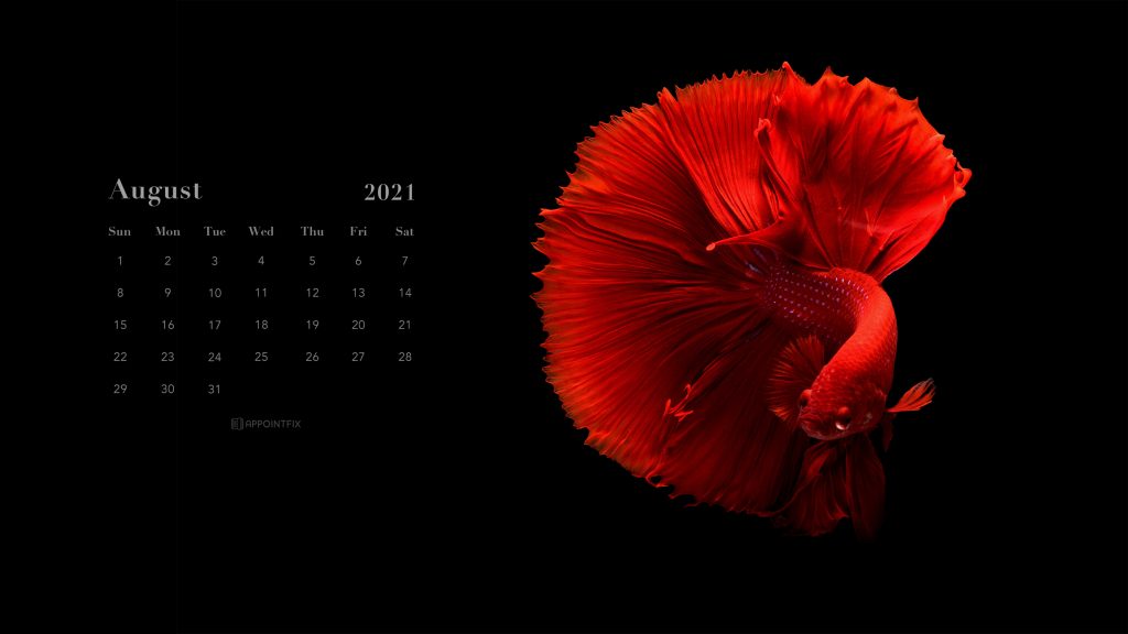 August-2021-calendar-wallpaper-majestic-fish-desktop