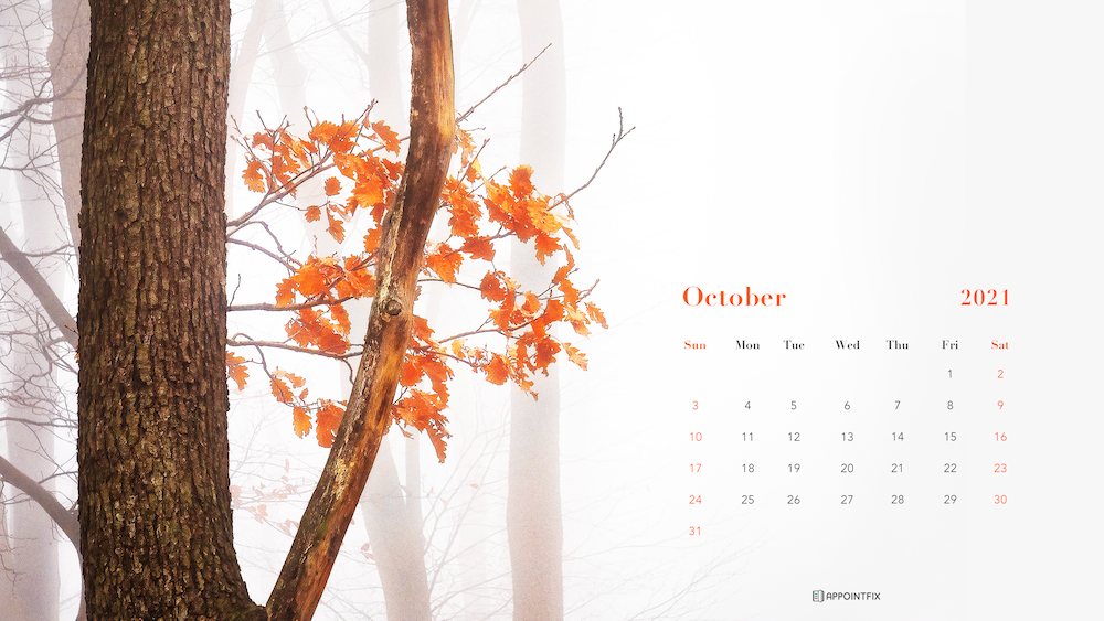 October-Wallpaper_Appointfix_tree