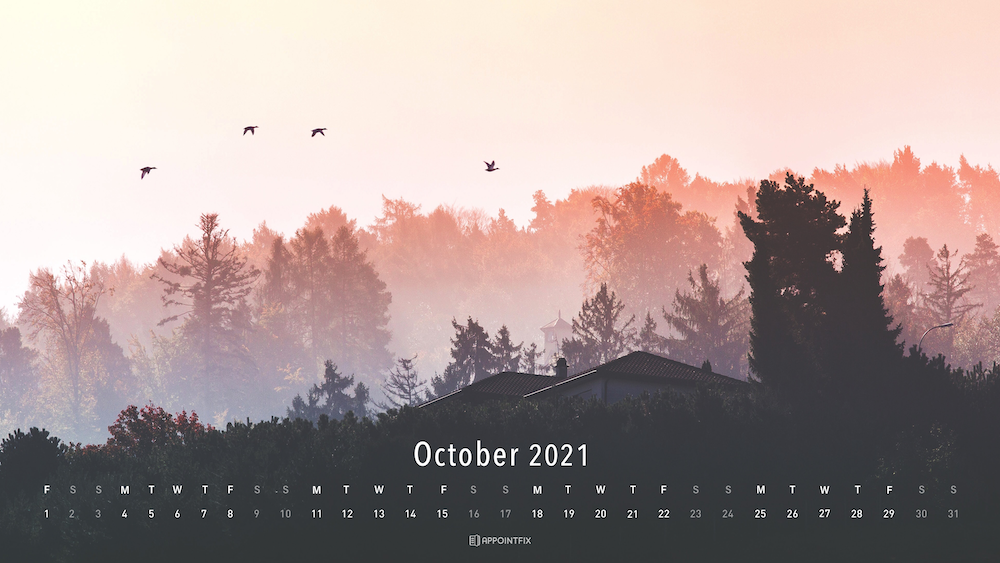 October-Wallpaper_Appointfix_view