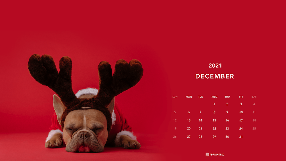 December-Wallpaper_Appointfix_bulldog (1)