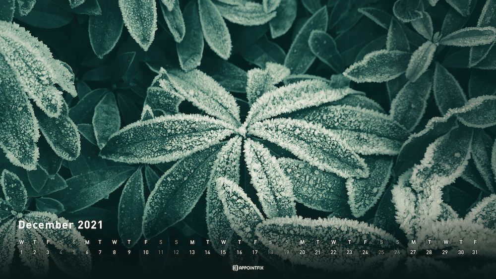 December-Wallpaper_Appointfix_frozen-leafs