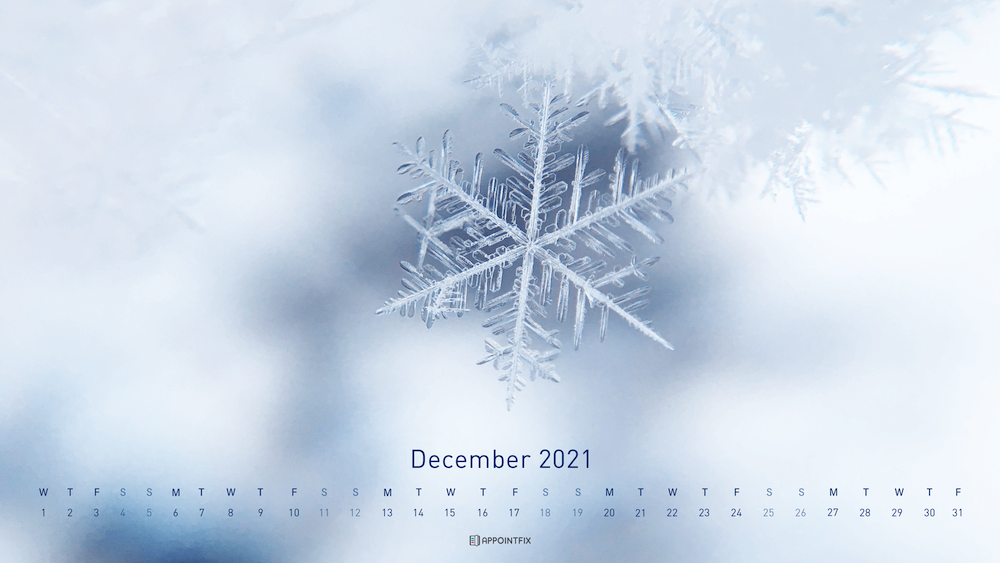December-Wallpaper_Appointfix_snowflake (1)