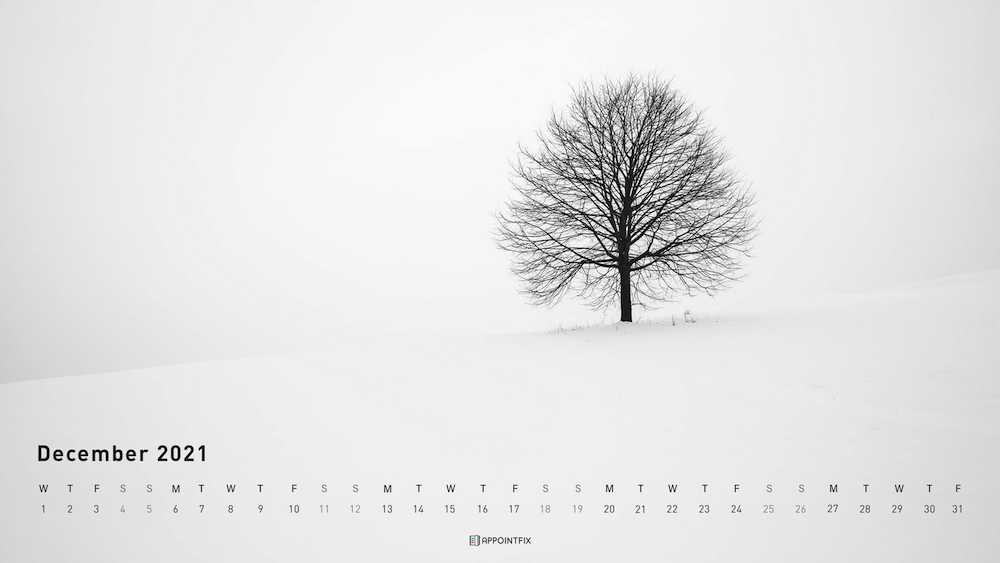 December-Wallpaper_Appointfix_tree (1)