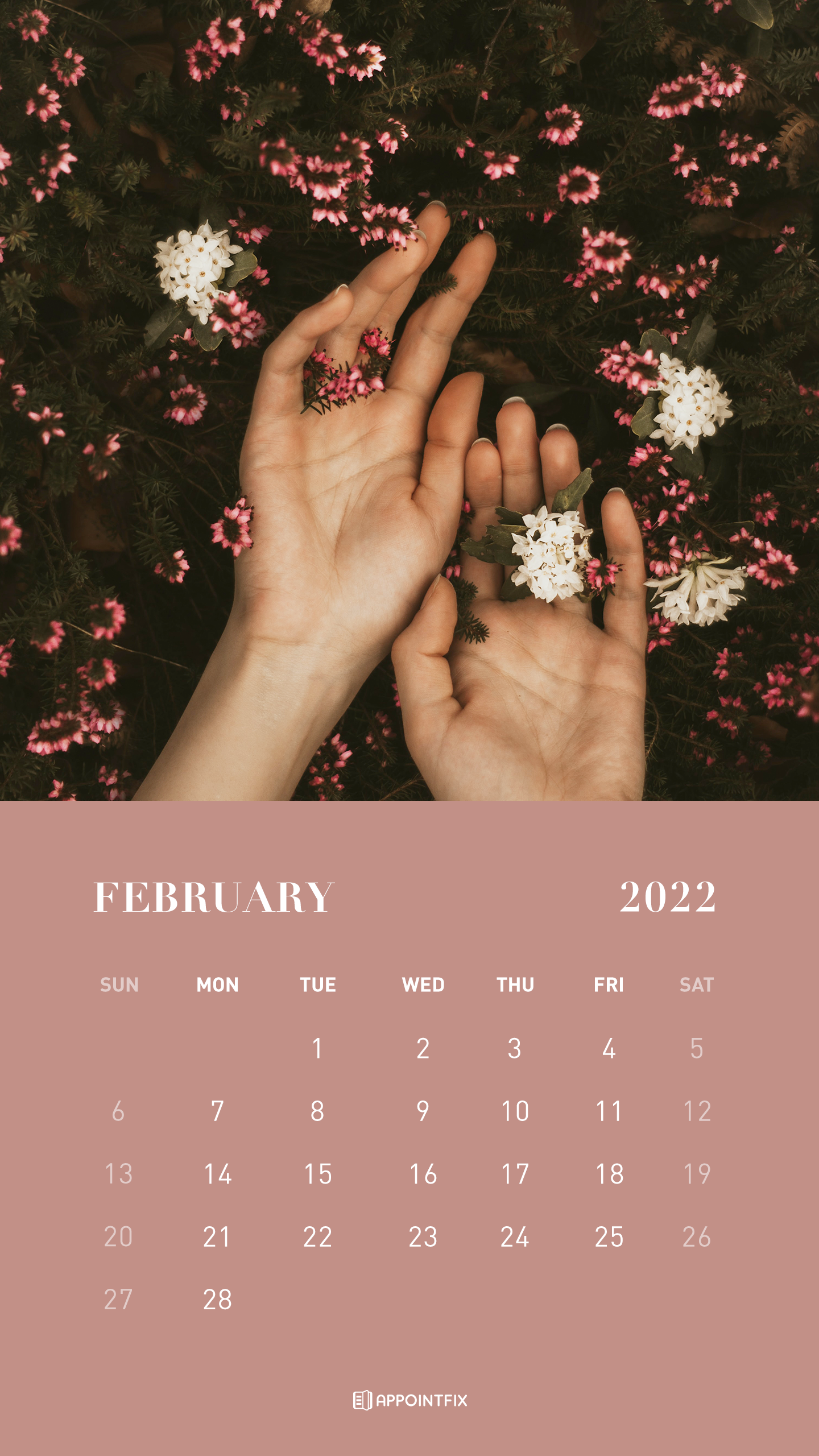 February 2022 Calendar Wallpaper Free February 2022 Calendar Wallpapers – Desktop & Mobile