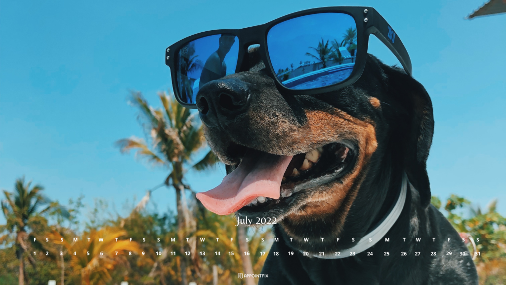 summery-dog-wallpaper-calendar-desktop